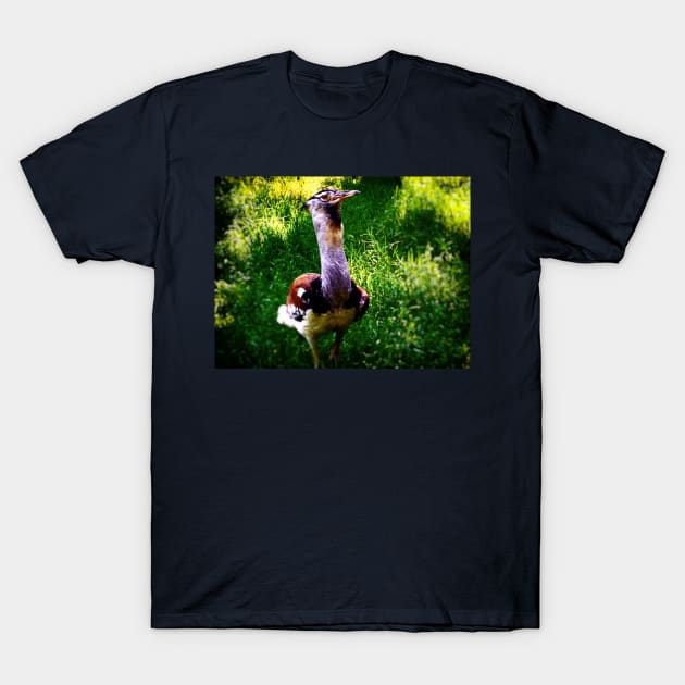 Stork T-Shirt by mtndew3301@gmail.com